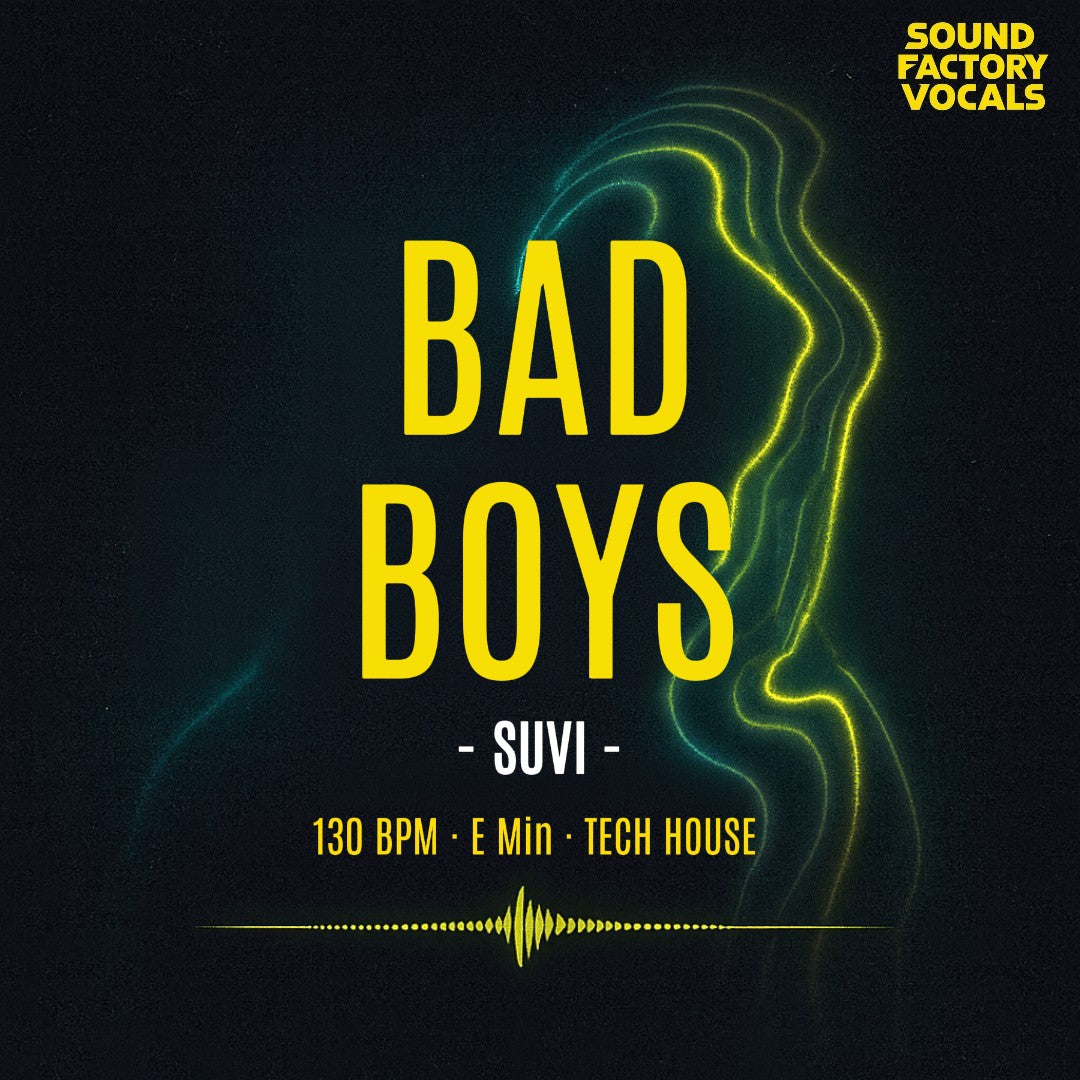 Bad Boys – Instrumental Stems + Serum Presets + Drum Samples + Midis